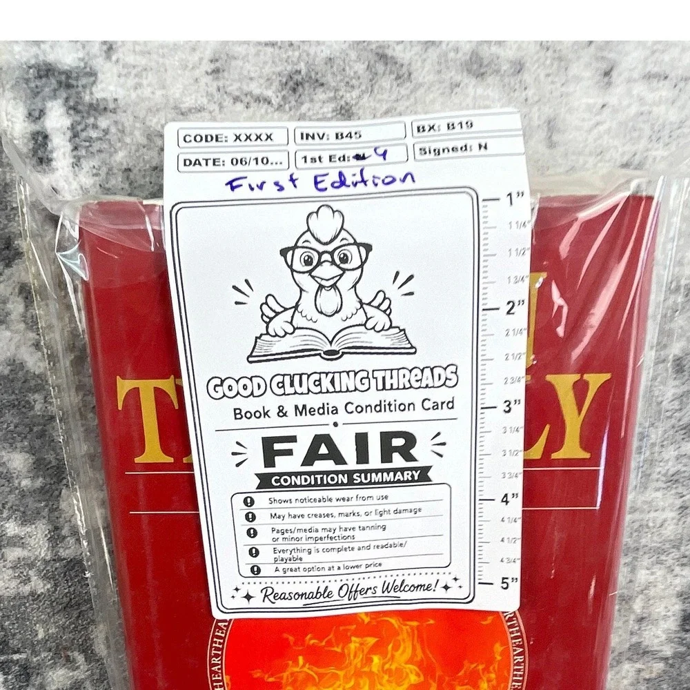 Fire in the Belly‎ Book 1st Ed 1991 Psychology Sam Keen Men OS Red Manhood